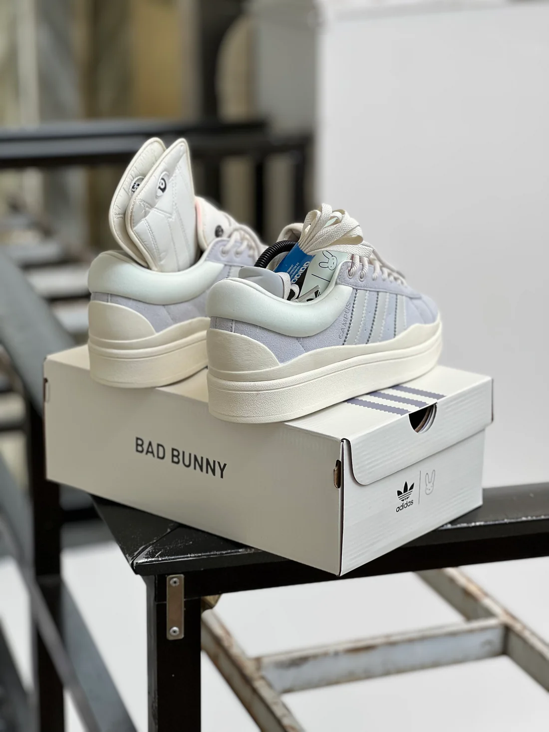Campus Bad Bunny - Imagen 3