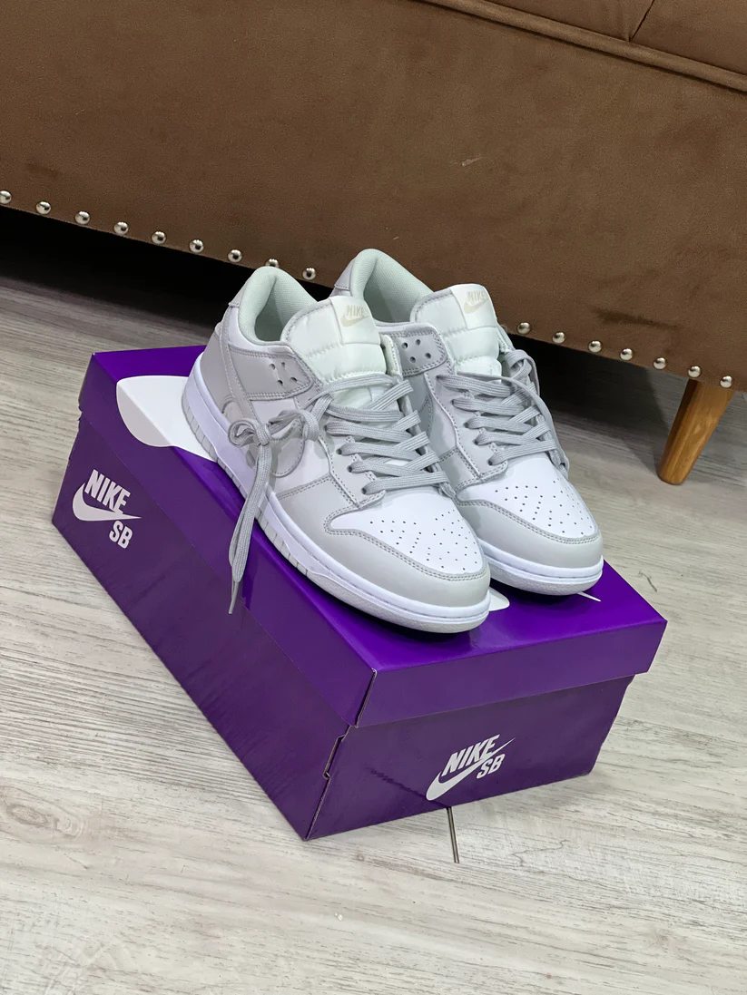 Nike SB Dunk Gray